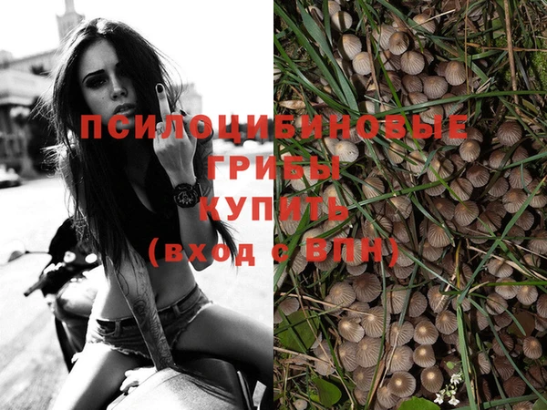 мескалин Армянск