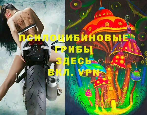 apvp Арсеньев