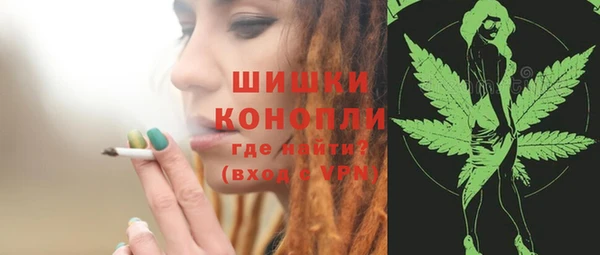 apvp Арсеньев